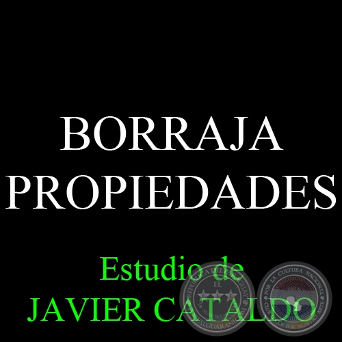 BORRAJA - PROPIEDADES - Estudio de JAVIER CATALDO