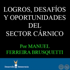 LOGROS, DESAFOS Y OPORTUNIDADES DEL SECTOR CRNICO, 2014 - Por MANUEL FERREIRA BRUSQUETTI 