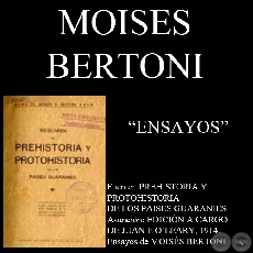 ENSAYOS - PREHISTORIA Y PROTOHISTORIA DE LOS PAISES GUARANES (Por MOISS BERTONI)