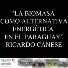 LA BIOMASA COMO ALTERNATIVA ENERGTICA EN EL PARAGUAY (RICARDO CANESE) - Noviembre de 1986