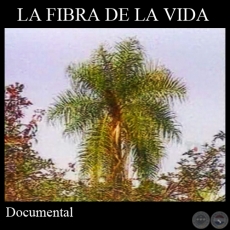 LA FIBRA DE LA VIDA - Documental de JOAQUN SMITH