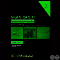 NIGHT (SHOT), 2015 - Exposicin de GABRIELA ZUCCOLILLO