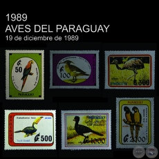 AVES DEL PARAGUAY